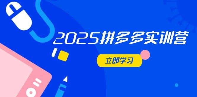 (14531期)2025拼多多实训营:深度剖析运营关键,助力电商人快速提升-赛德副业库