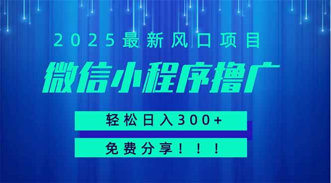 （14375期）微信小程序撸广，最新风口项目，日入300+ 免费分享 可批量操作 小白可…-赛德副业库