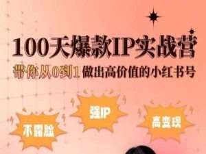 小红书100天爆款IP实战营，带你从0到1做出高价值的小红书号-赛德副业库