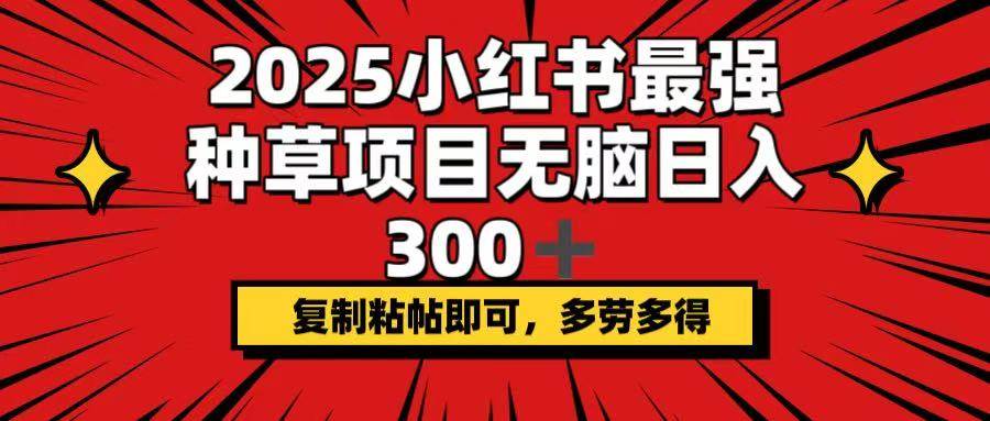 （14375期）2025小红书最强种草项目，无脑日入300+，复制粘帖即可，多劳多得-赛德副业库