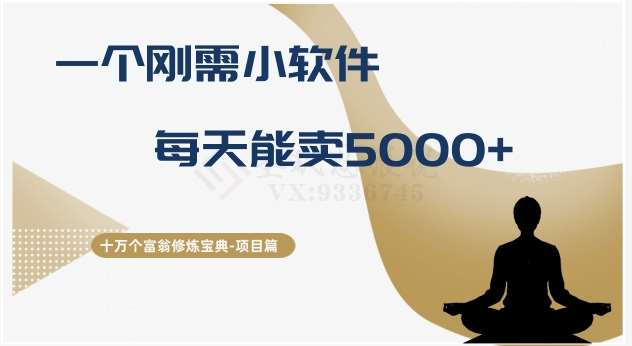 十万个富翁修炼宝典之17.一个刚需小软件，每天能卖5000+-赛德副业库