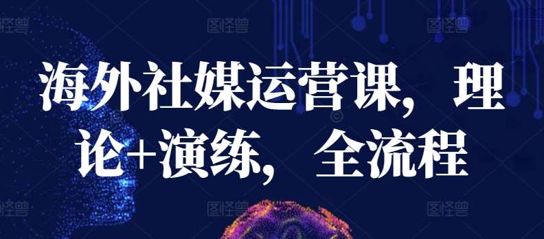 海外社媒运营课，理论+演练，全流程-赛德副业库