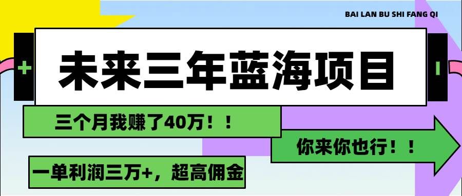 （11716期）未来三年，蓝海赛道，月入3万+-赛德副业库