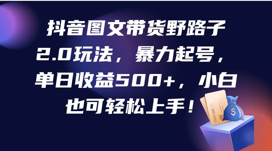 （9790期）抖音图文带货野路子2.0玩法，暴力起号，单日收益500+，小白也可轻松上手！-赛德副业库