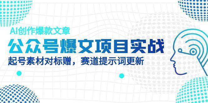 公众号爆文项目实战，AI创作爆款文章，起号素材对标赠（附赛道AI提示词）-赛德副业库