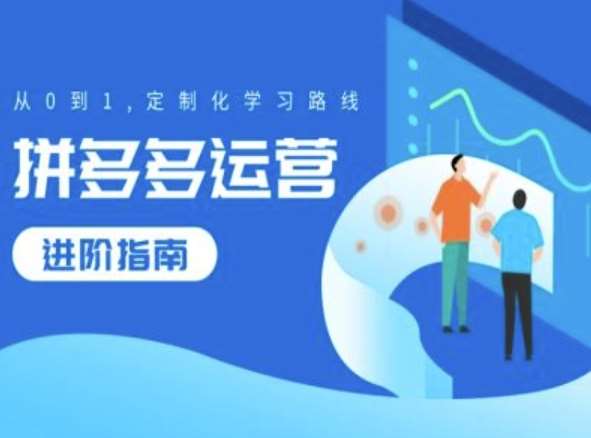拼多多运营进阶指南，从0到1定制化学习路线-赛德副业库