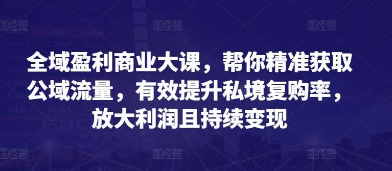 全域盈利商业大课，帮你精准获取公域流量，有效提升私境复购率，放大利润且持续变现-赛德副业库