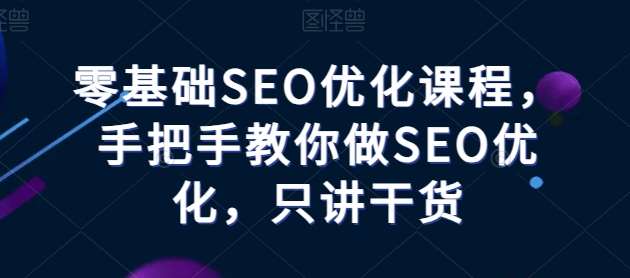 零基础SEO优化课程,手把手教你做SEO优化,只讲干货-赛德副业库