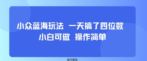 小众蓝海玩法 一天搞了四位数 小白可做 操作简单-赛德副业库