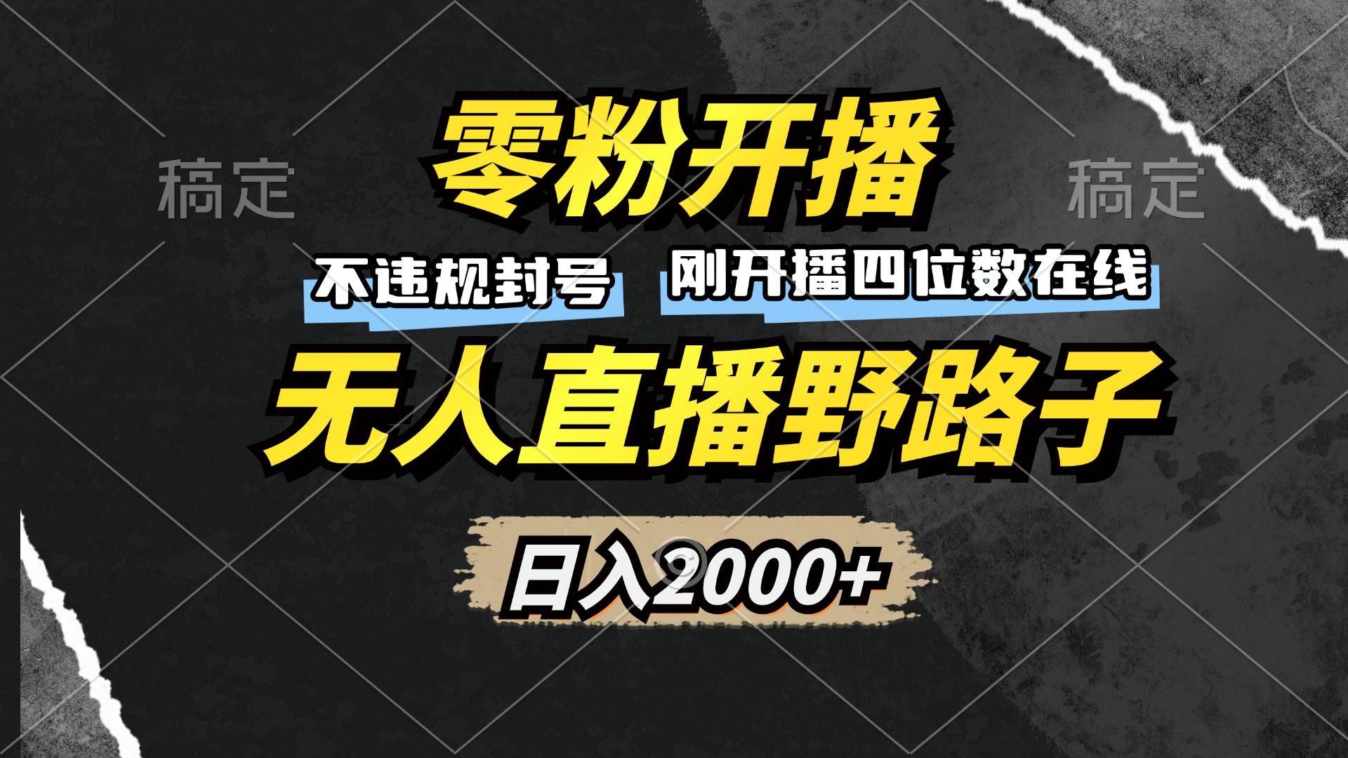 （13292期）零粉开播，无人直播野路子，日入2000+，不违规封号，躺赚收益！-赛德副业库