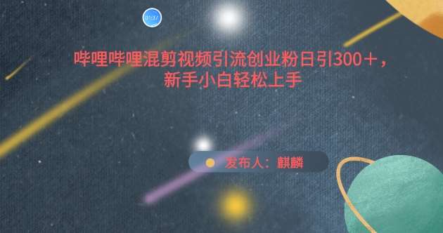 哔哩哔哩混剪视频引流创业粉日引300+，新手小白轻松上手【揭秘】-赛德副业库
