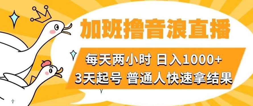 加班撸音浪直播，每天两小时，日入1000+，直播话术才3句，3天起号，普通人快速拿结果【揭秘】-赛德副业库