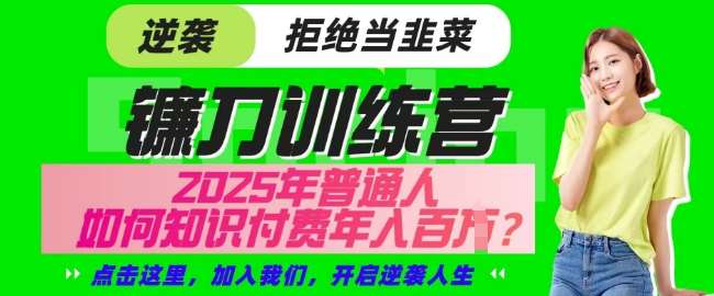 【网创项目终点站-镰刀训练营超级IP合伙人】25年普通人如何通过知识付费实现逆袭【揭秘】-赛德副业库