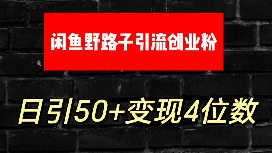 大眼闲鱼野路子引流创业粉，日引50+单日变现四位数-赛德副业库