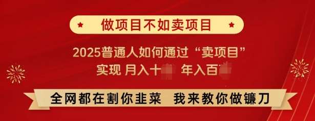 必看，做项目不如卖项目，2025普通人如何通过“卖项目”实现月入十个，年入百个-赛德副业库