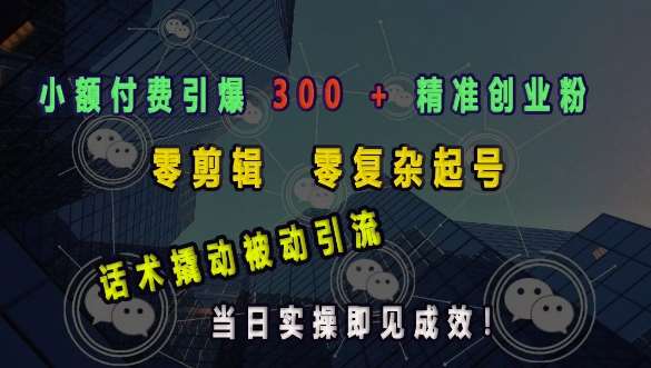 小额付费引爆 300 + 精准创业粉，零剪辑、零复杂起号，话术撬动被动引流，当日实操即见成效-赛德副业库