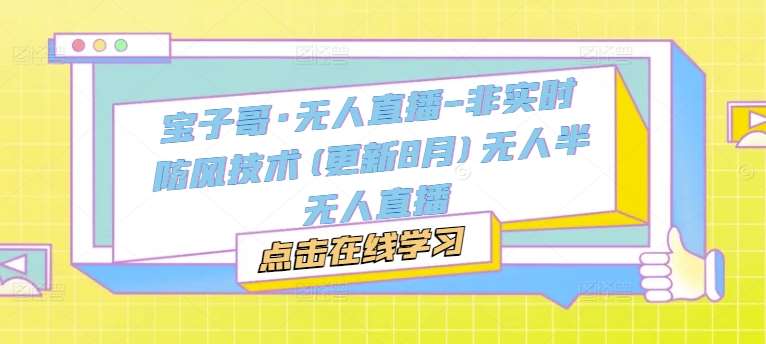 宝子哥·无人直播-非实时防风技术(更新8月)无人半无人直播-赛德副业库