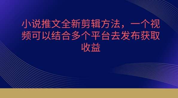 小说推文全新剪辑方法，一个视频可以结合多个平台去发布获取【揭秘】-赛德副业库
