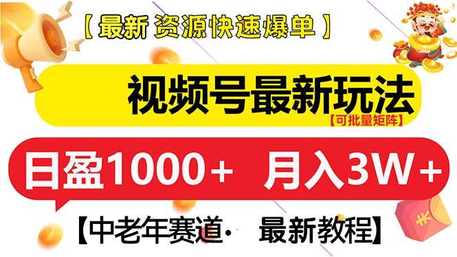 （13530期）视频号最新玩法 中老年赛道 月入3W+-赛德副业库