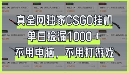 真全网独家CSGO挂G，单日捡漏1k+【揭秘】-赛德副业库