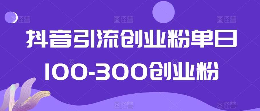 抖音引流创业粉单日100-300创业粉【揭秘】-赛德副业库