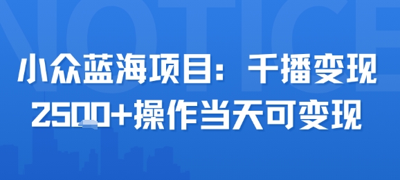小众蓝海项目，千播变现2.5k+操作当天可变现-赛德副业库
