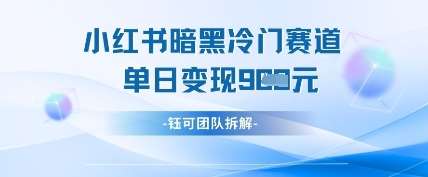 小红书冷门”暗黑”赛道，单日收益多张-赛德副业库