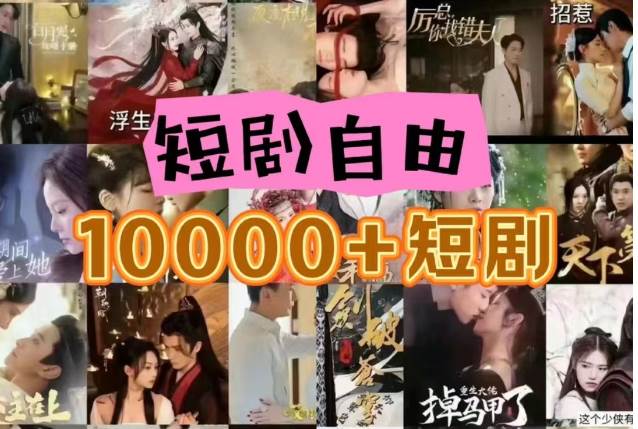 打造完全属于自己的个人短剧库，实现网盘拉新与私域变现的完美融合！-赛德副业库