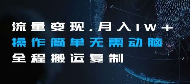 流量变现，月入1W+操作简单无需动脑全程搬运复制【揭秘】-赛德副业库