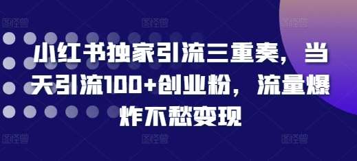 小红书独家引流三重奏，当天引流100+创业粉，流量爆炸不愁变现【揭秘】-赛德副业库