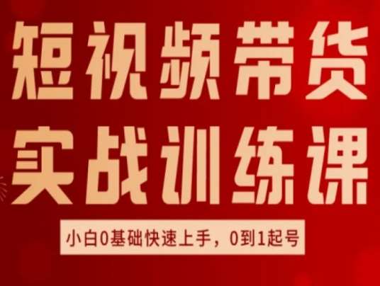 短视频带货实战训练课，好物分享实操，小白0基础快速上手，0到1起号-赛德副业库