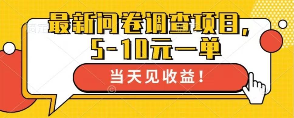 (13167期)最新问卷调查项目,单日零撸100+-赛德副业库