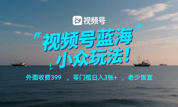 视频号蓝海小众玩法!外面收费399,零门槛日入3张+,老少皆宜-赛德副业库