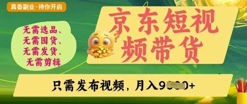 京东短视频带货，开启零门槛躺Z新时代【揭秘】-赛德副业库