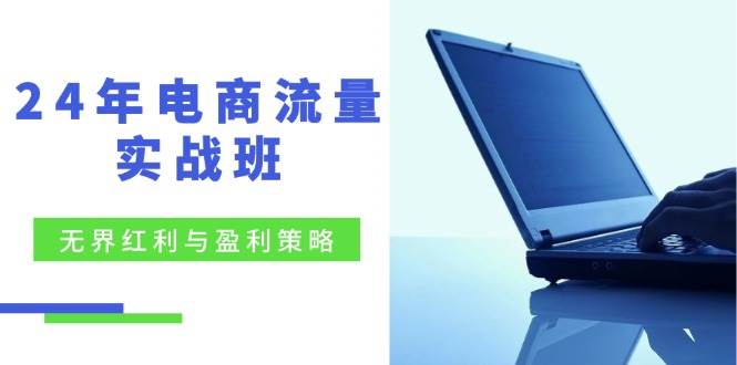 （12168期）24年电商流量实战班：无界 红利与盈利策略，终极提升/关键词优化/精准…-赛德副业库