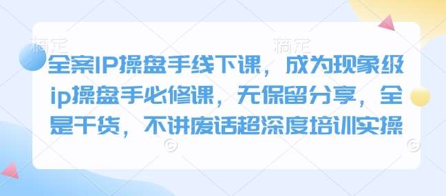 全案IP操盘手线下课，成为现象级ip操盘手必修课，无保留分享，全是干货，不讲废话超深度培训实操-赛德副业库