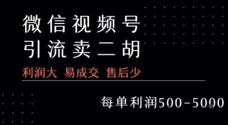 视频号卖二胡教程,利润大 易成交 售后少,一单利润5张+-赛德副业库