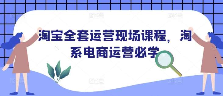 淘宝全套运营现场课程,淘系电商运营必学-赛德副业库