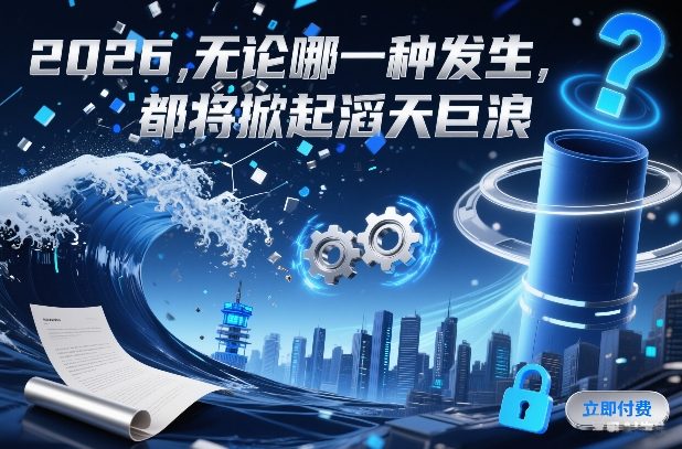 付费文章：2026，无论哪一种发生，都将掀起滔天巨浪-赛德副业库