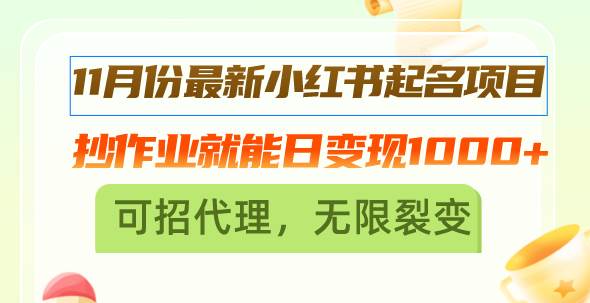 （13256期）11月份最新小红书起名项目，抄作业就能日变现1000+，可招代理，无限裂变-赛德副业库