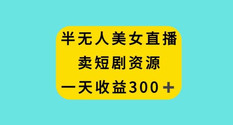 半无人美女直播，卖短剧资源，一天收益300+【揭秘】-赛德副业库