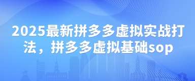 2025最新拼多多虚拟实战打法，拼多多虚拟基础sop-赛德副业库
