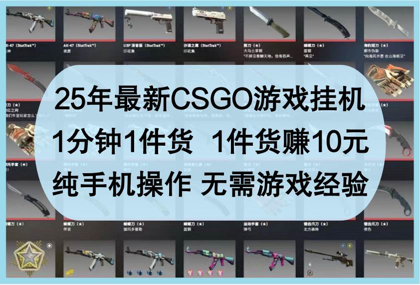 25年最新CSGO游戏挂机，1分钟1件货，1件货赚10元，纯手机操作，无需游戏经验-赛德副业库