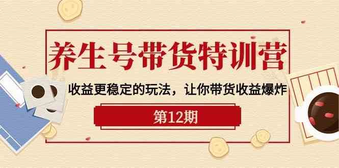 养生号带货特训营【12期】收益更稳定的玩法，让你带货收益爆炸（9节直播课）-赛德副业库