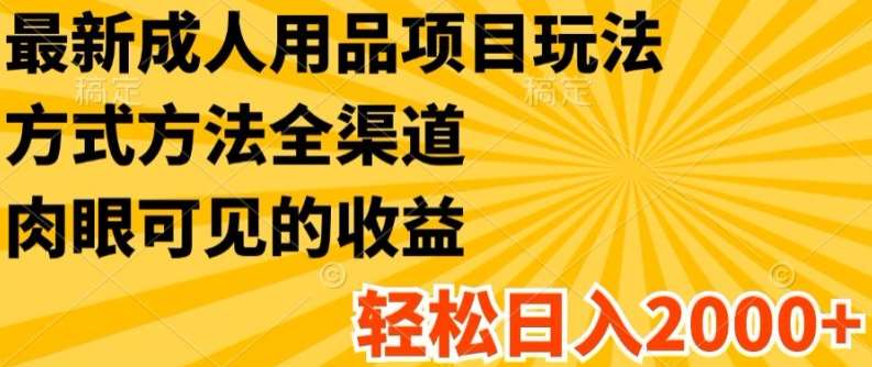 最新成人用品项目玩法，方式方法全渠道，轻松日入2K+【揭秘】-赛德副业库