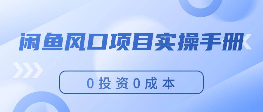 （11923期）闲鱼风口项目实操手册，0投资0成本，让你做到，月入过万，新手可做-赛德副业库