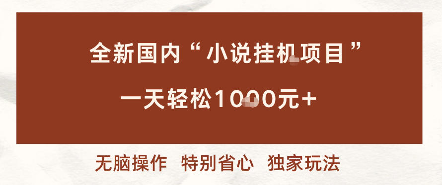全新国内小说挂G项目,多窗口无脑跑,一天轻松1k+,特别省心【揭秘】-赛德副业库