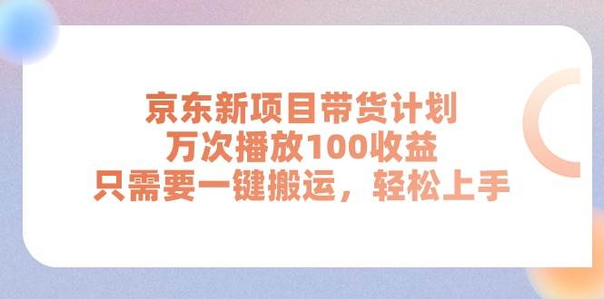 （11300期）京东新项目带货计划，万次播放100收益，只需要一键搬运，轻松上手-赛德副业库