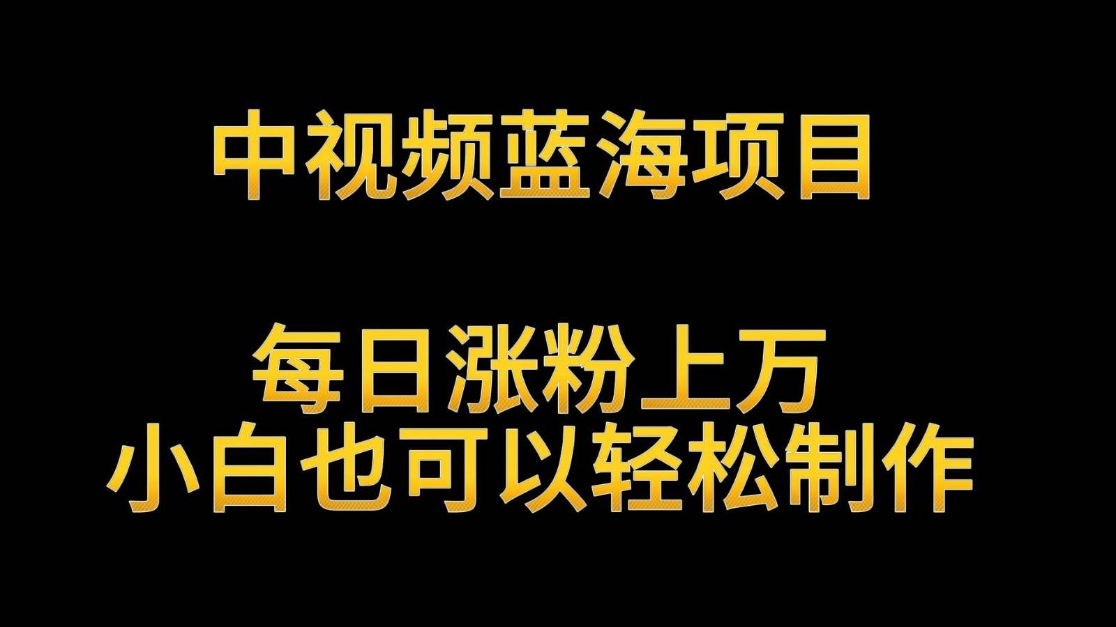 中视频蓝海项目，解读英雄人物生平，每日涨粉上万，小白也可以轻松制作，月入过万-赛德副业库