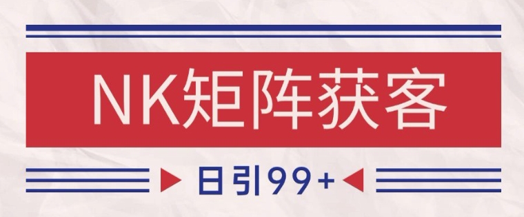 小红书某音NK赛道引流获客 自热矩阵日引200+【揭秘】-赛德副业库